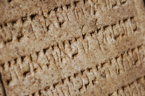 Еврейское письмо из камня — стоковое фото