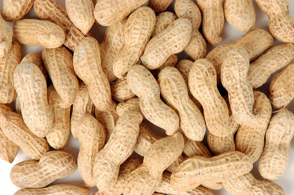 Pilha de amendoins crus em conchas — Fotografia de Stock
