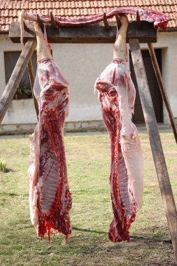 Pig halves hanging in a backyard clipart