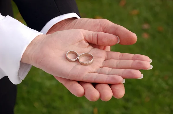 Bride and groom showing wedding rings — Stock Photo, Image
