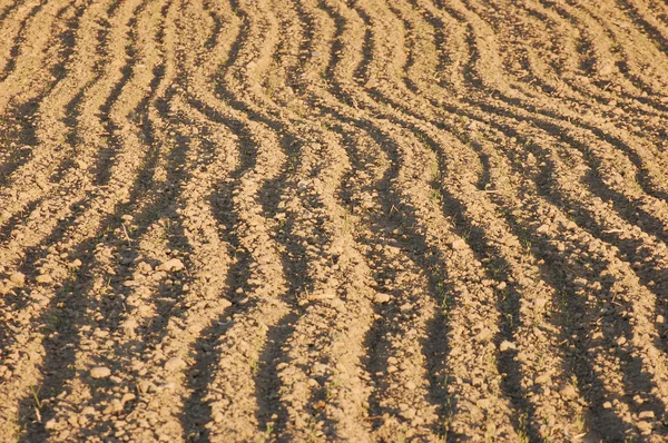 Newly ploughed agricultural field — Stock Photo, Image