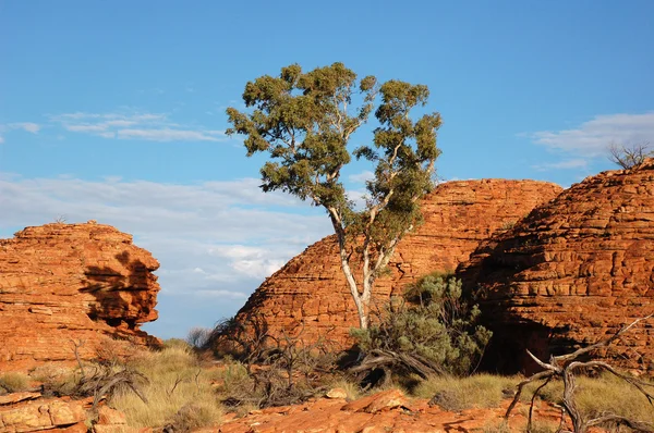 Австралия сельская местность с красными скалами — стоковое фото