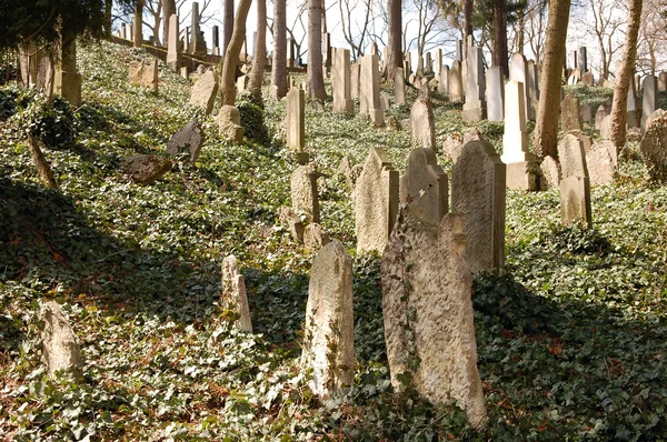 Jüdischer Friedhof in Trebic Stockfoto