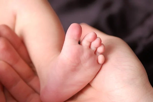 在母亲的手中的婴儿脚 图库照片