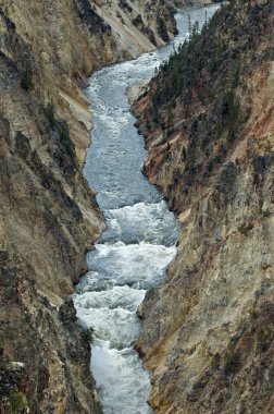 Yellowstone 'un Büyük Kanyonu