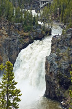 yellowstone Nehri'nin üst falls