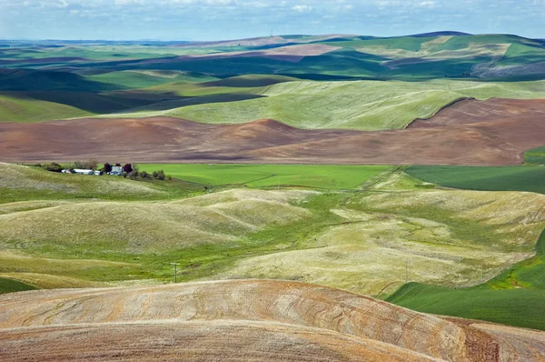 stock image The Palouse