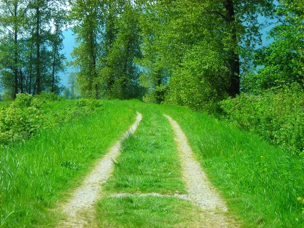 Old Road — Stock Photo, Image