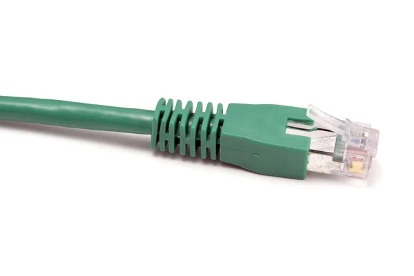 Cable de red informática — Foto de Stock