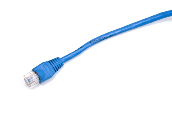 Computer Network Cable — Stock Photo, Image