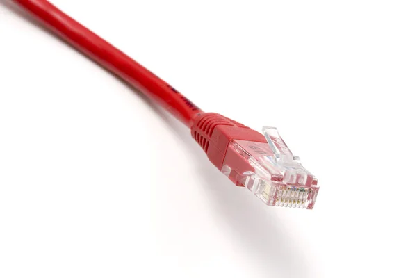 Bilgisayar ağ kablosu — Stok fotoğraf