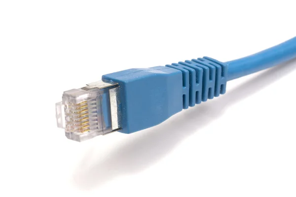 Câble réseau informatique — Photo