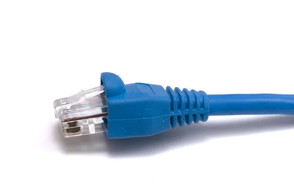 Cable de red informática —  Fotos de Stock