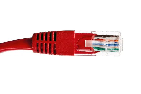 Plug jaringan merah — Stok Foto