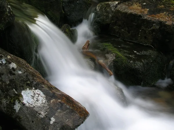 Agua corriente del arroyo de montaña —  Fotos de Stock