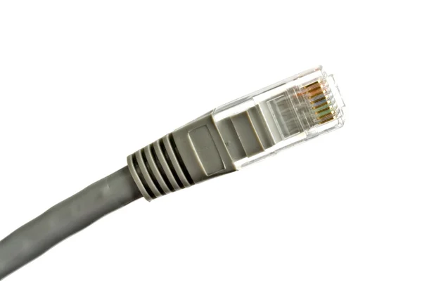 Számítógép hálózati kábel — Stock Fotó