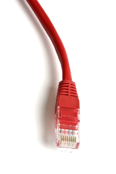 Plugue de rede vermelho — Fotografia de Stock