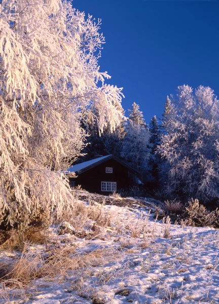 Cabaña invernal — Foto de Stock