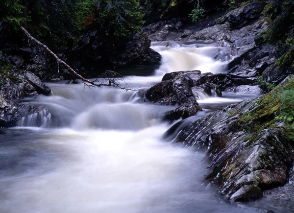 Поток воды из горного ручья — стоковое фото