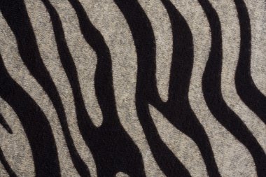 Texture of zebra pattern fabric clipart