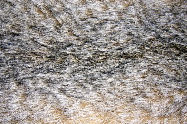 Lynx 모피의 배경 — 스톡 사진