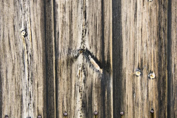 Clôture fond en bois — Photo