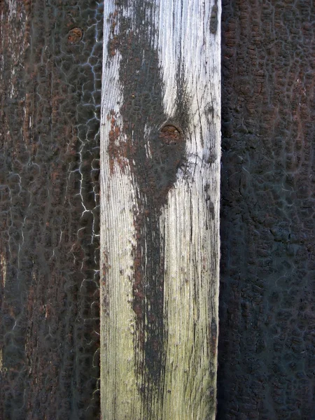 Clôture arrière-plan en bois altéré — Photo