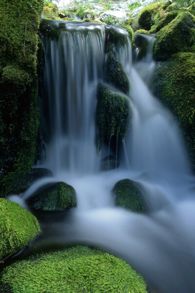 Малый водопад в лесу
