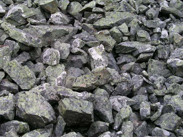 Sfondo di pietre di ghiaia rocciosa — Foto Stock