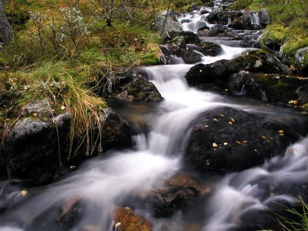 Agua corriente del arroyo de montaña — Foto de Stock