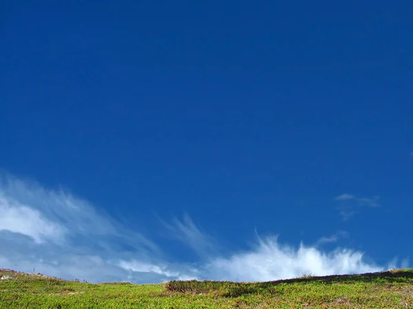 Stock image Blue sky and green grass