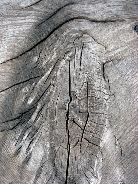 Texture of fence weathered wood — Stock Photo, Image