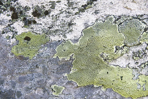 Texture de la nature fond en pierre — Photo