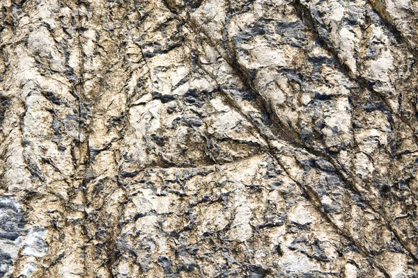 Textuur van natuur stenen achtergrond close-up — Stockfoto