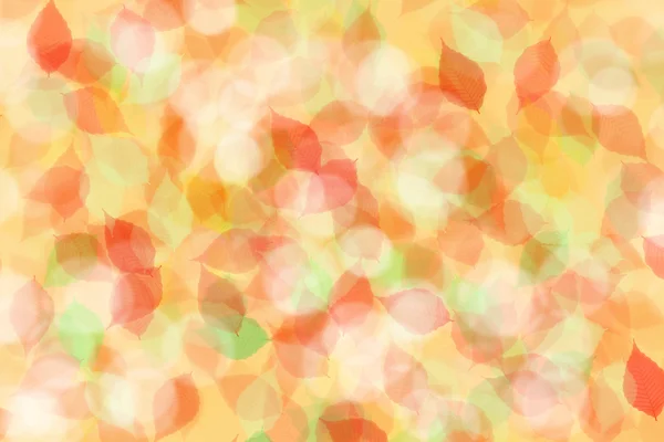 Kleurrijke abstracte bladeren achtergrond — Stockfoto