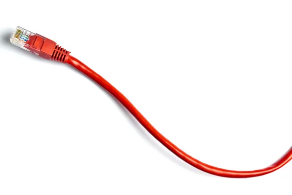 Red network plug on white — Stock Photo, Image
