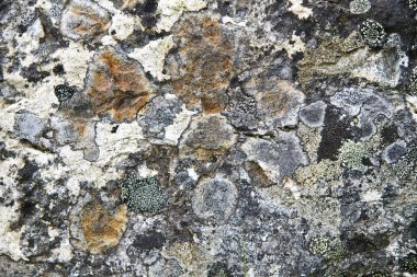 Weathered stone background clipart