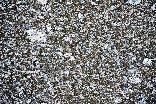 Texture of nature stone background — Stock Photo, Image