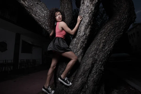 攀爬一棵树的女人 — 图库照片