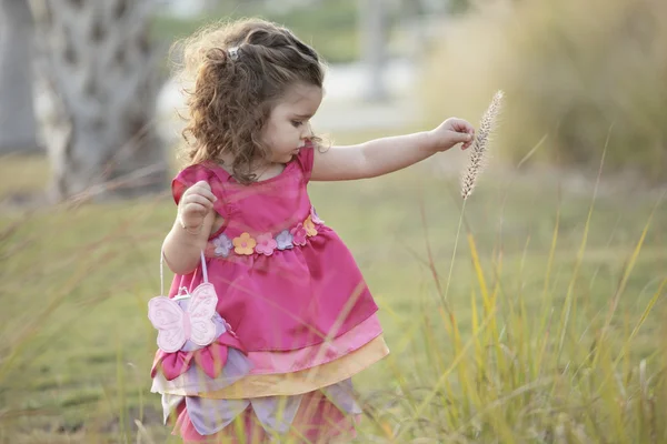 Kind plukken bloemen — Stockfoto