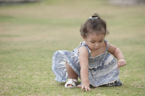 Çim bir şeyle oynarken toddler — Stok fotoğraf