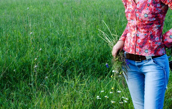 stock image Woman on green meadow