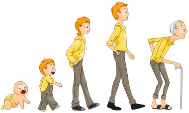Life Stages clipart