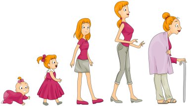 Life Stages clipart