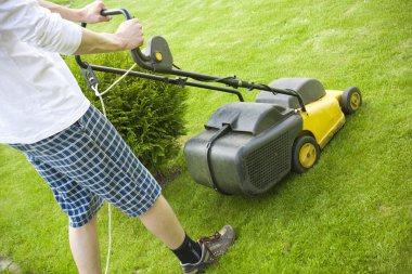 Lawnmower on the grass clipart