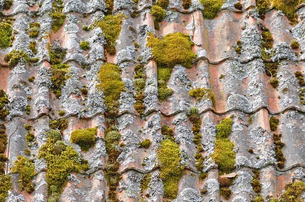 Oude tegels dak — Stockfoto