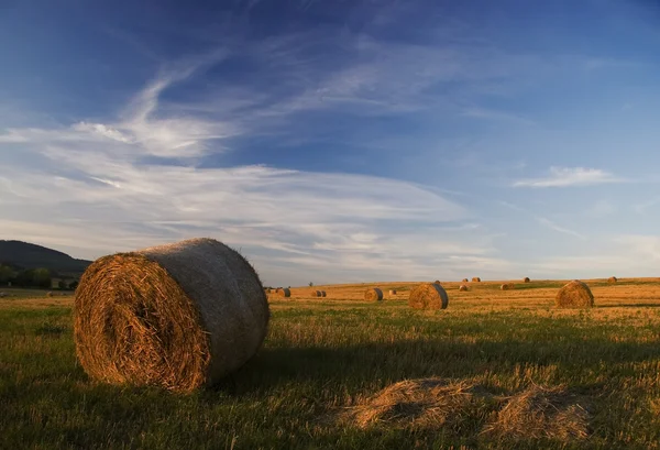 Strawfield with bale — Stock Photo, Image