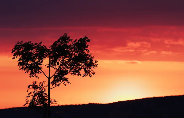 Pôr-do-sol colorido — Fotografia de Stock
