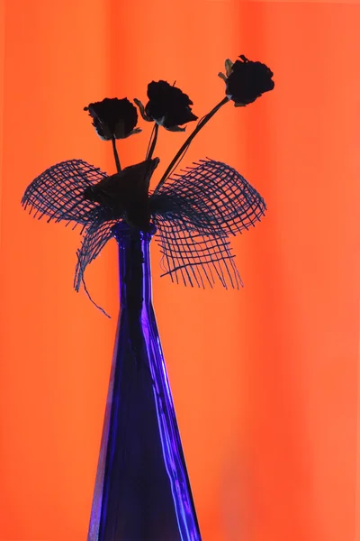 Vase mit Blume — Stockfoto