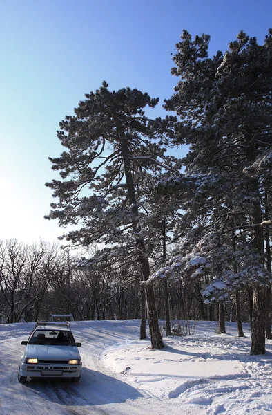 Coche en invierno — Foto de Stock